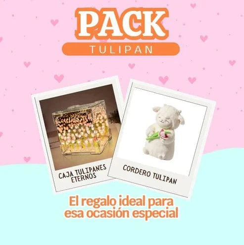PELUCHE CORDERITO TULIPAN + LAMPARA DE TULIPANES