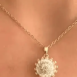 PACK NUTRIA , ANILLO Y COLLAR GIRASOL